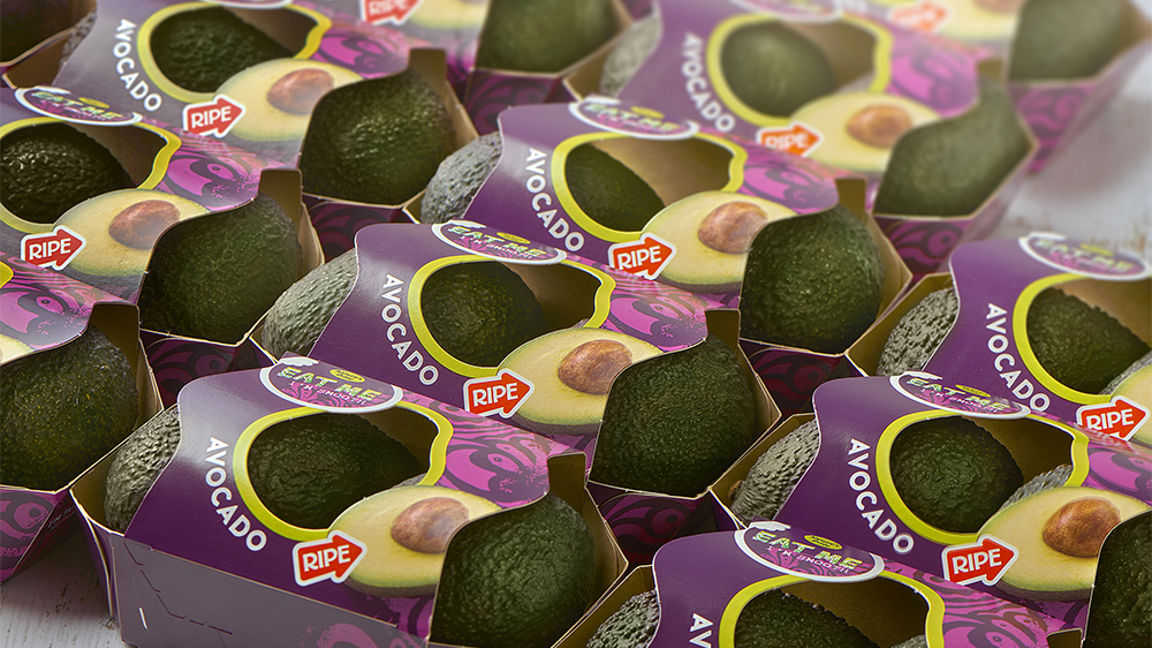 Nieuwe kartonnen avocado verpakking
