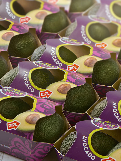 New carton avocado packaging