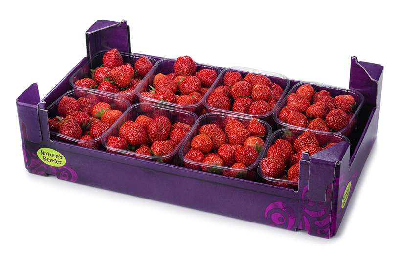 Erdbeeren - Kunststoffverpackungen