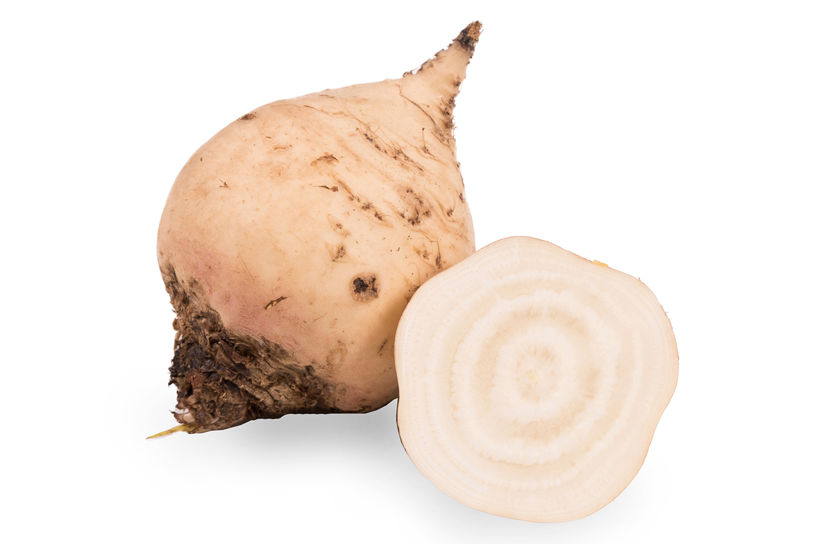 Beetroot - Product picture - White beet