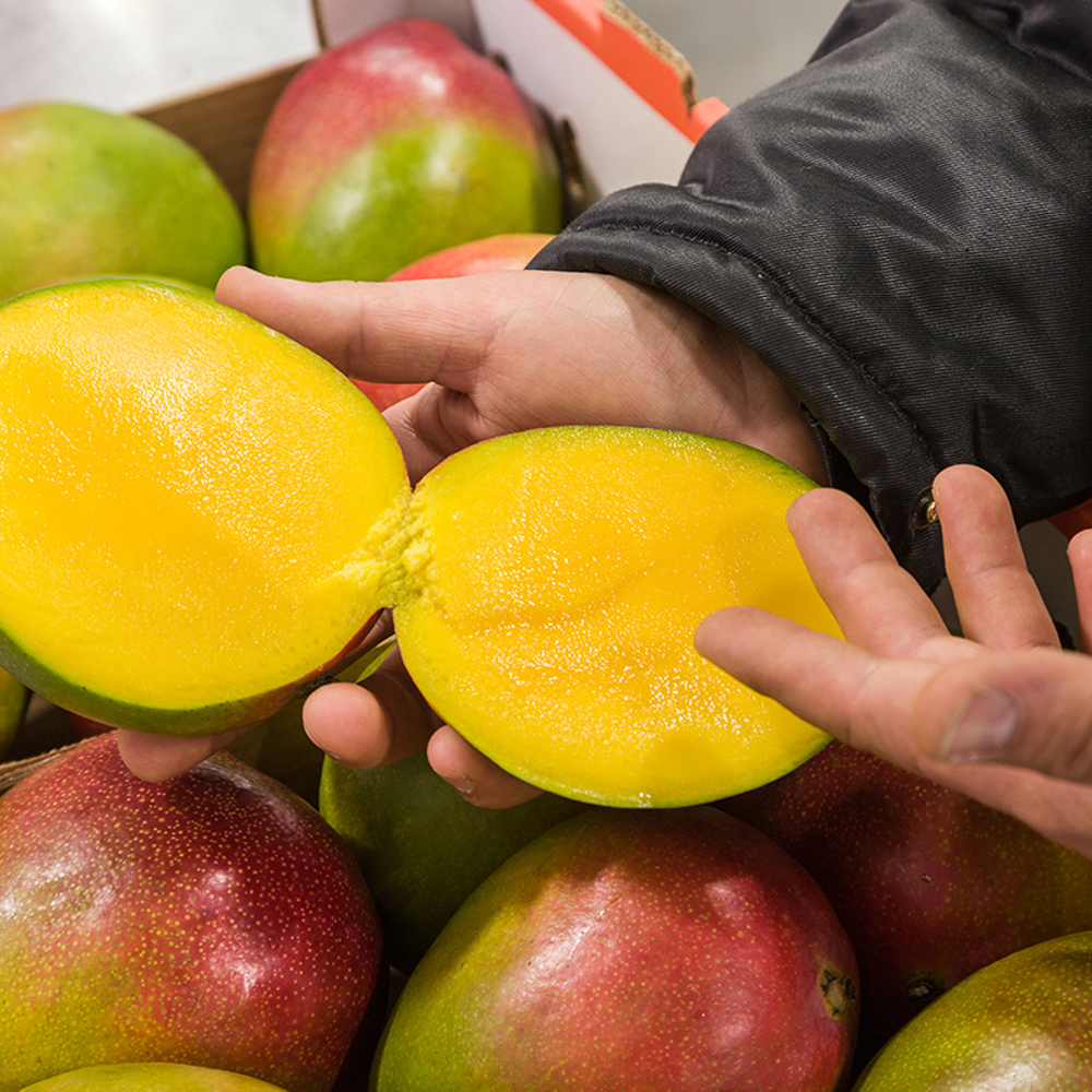 Ripening program