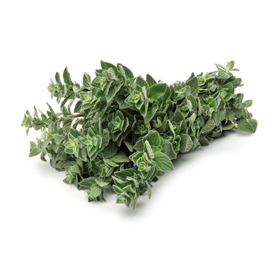 Oregano - Productfoto