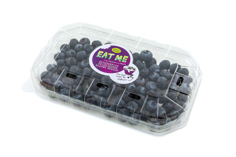 Blueberries - Plastic scale 