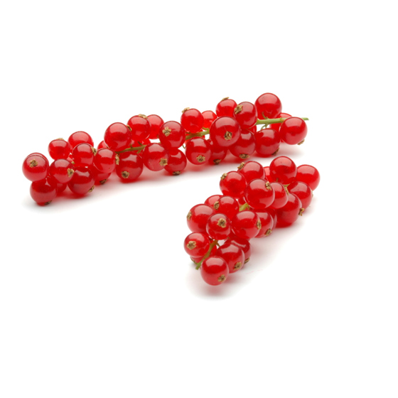 Rote Johannisbeeren - Produktfoto