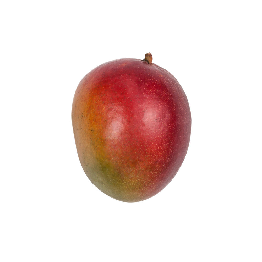 Mango Kent variety