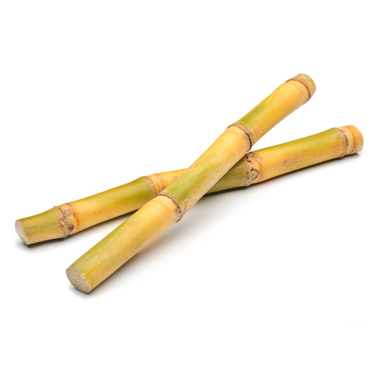 Sugarcane - Product photo