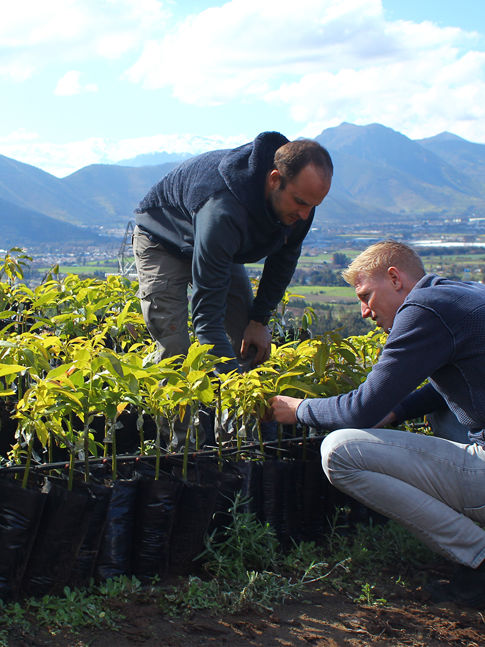 Langdurige samenwerkingen met onze telers