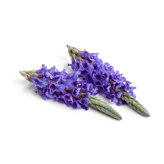 Lavendel - Produktfoto