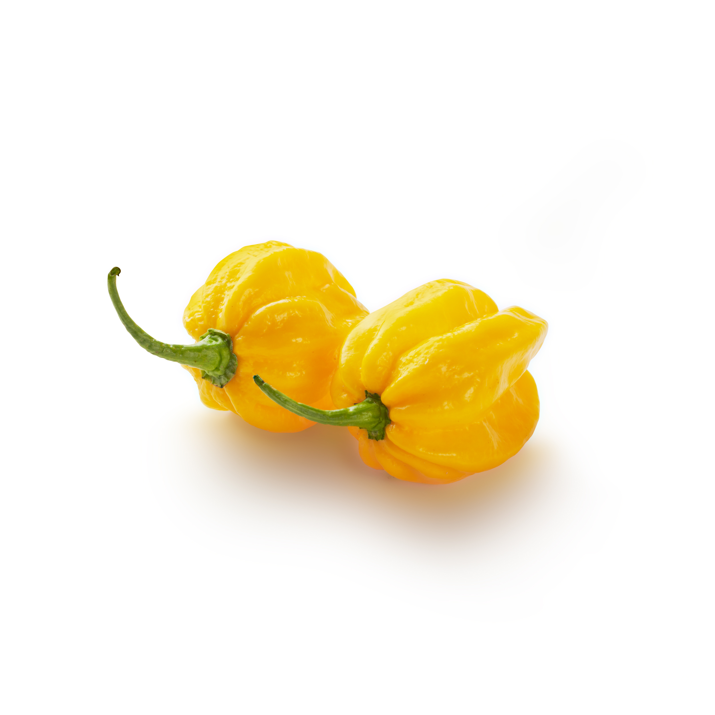Habanero deals chilli scoville