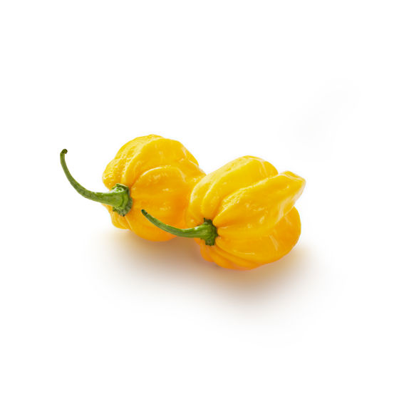 Habanero peper - Productfoto