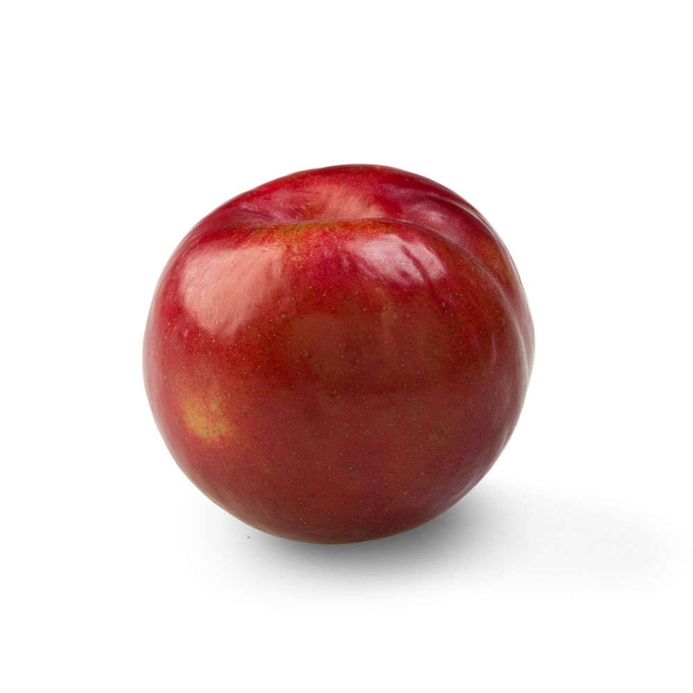 Plums African Delight variety