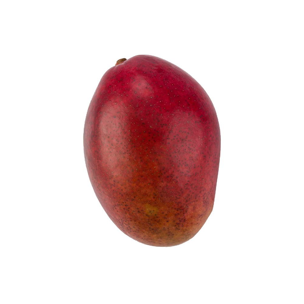 Mango Osteen variety