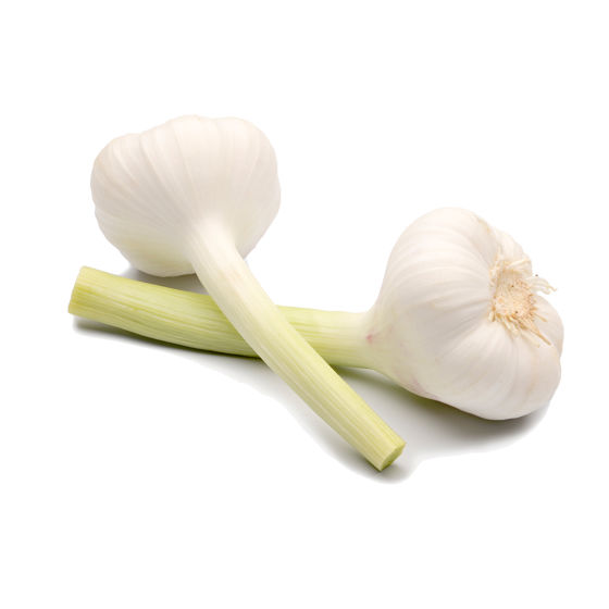 Saba Gold - Garlic Product photo