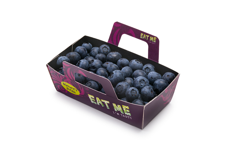Blueberries - packaging cardbord box