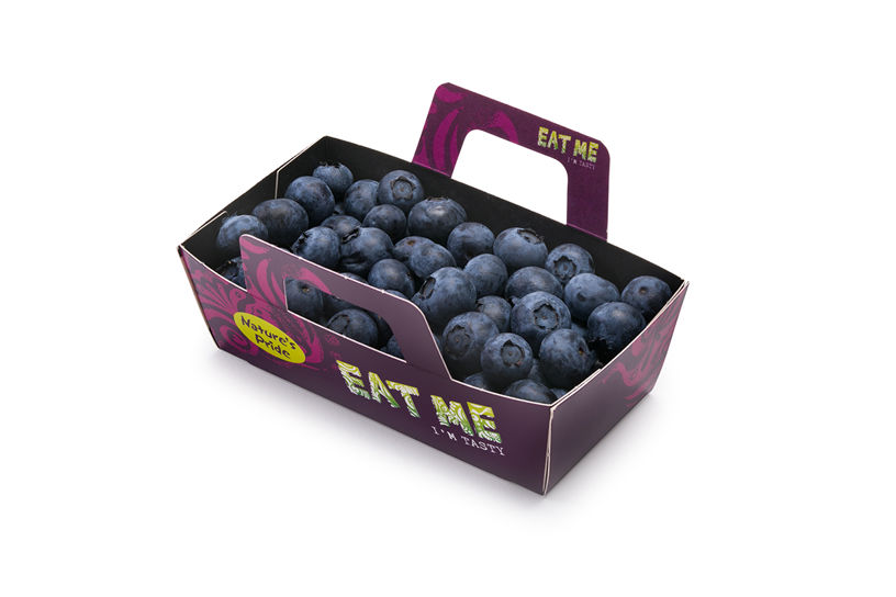 Blaubeeren - Karton verpacken
