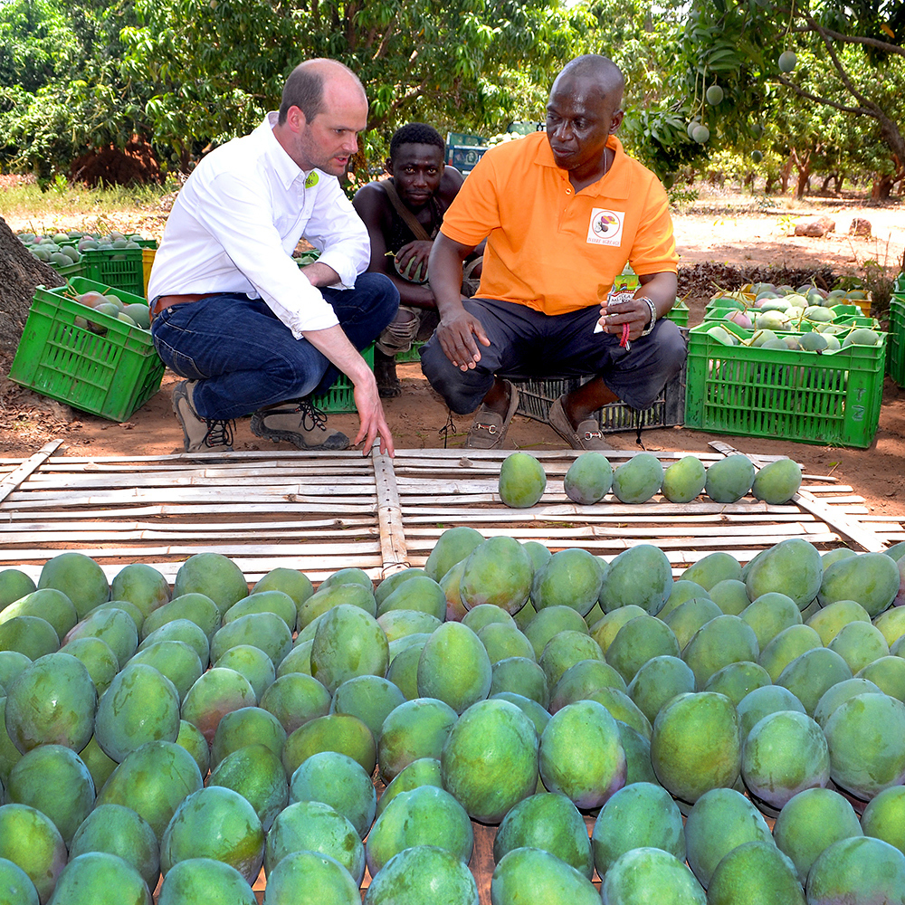 Leading in sustainable business