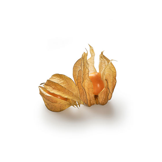 Physalis is the exotic fruit that stands out - Nature's Pride