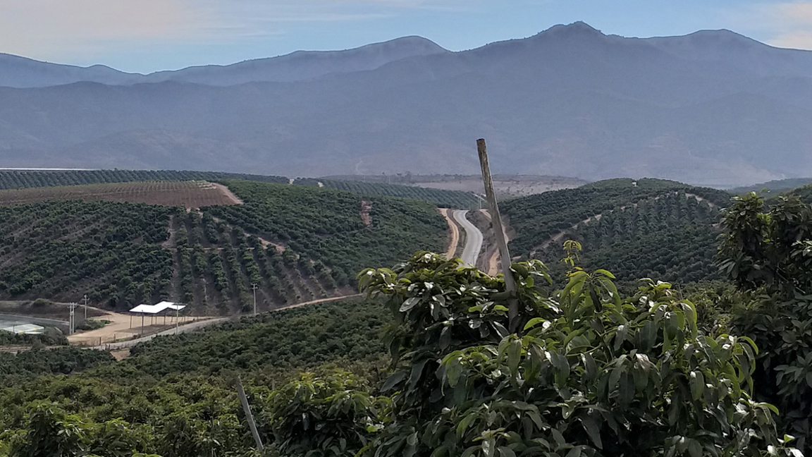 Chili & Peru Succesvolle Pilot Van SPRING Wateraudit Nature's Pride