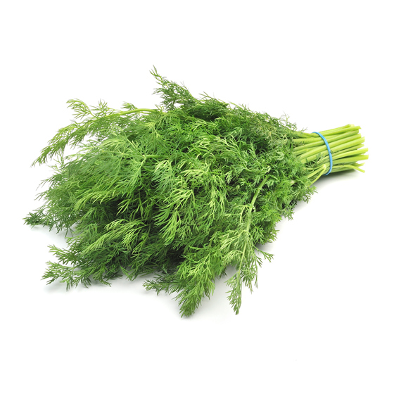 Dill is at many soups and sauces - Nature's Pride