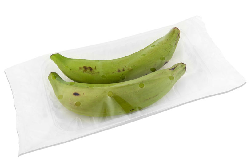 Plantain - Flowpack two pieces
