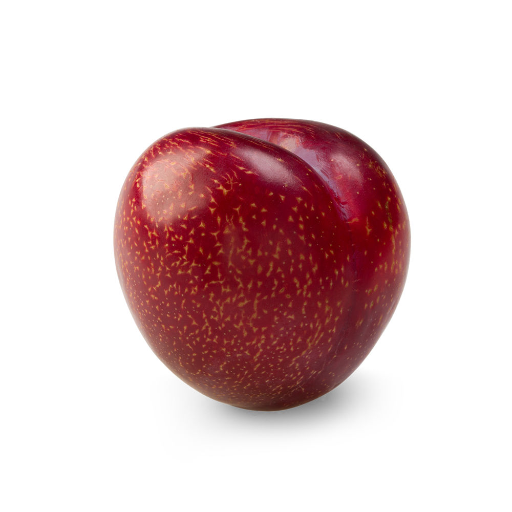 Plums Flavorking variety