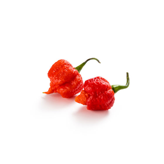 Carolina Reaper - Productfoto