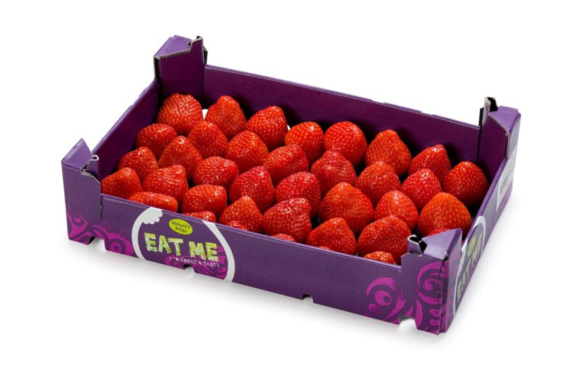 Erdbeeren - Box mit 1 kg
