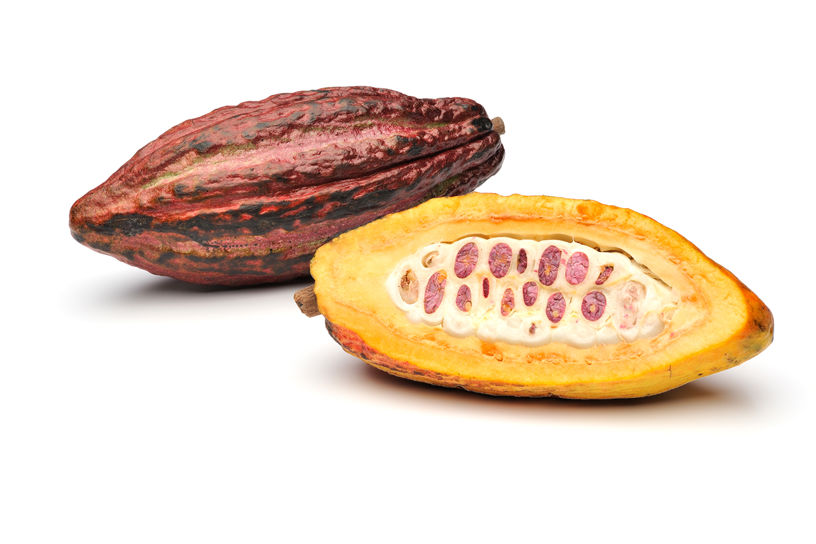 Cacaovrucht - Productfoto