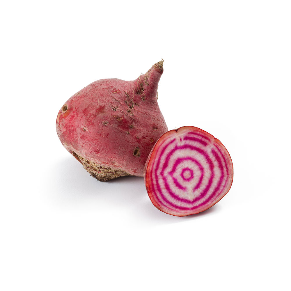 Mini Biet - Rood - Chioggia Variëteit