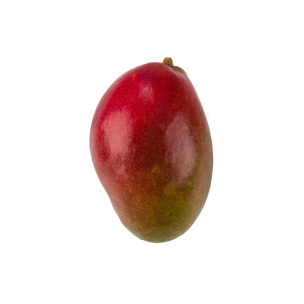 Mango Palmer Vielfalt