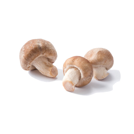 Mini Shiitake - Productfoto