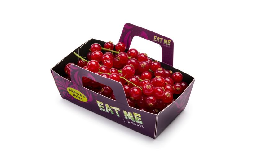 Rote Johannisbeere - Kartonverpackung