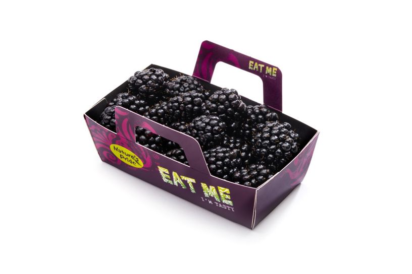 Brombeeren - Kartonverpackung