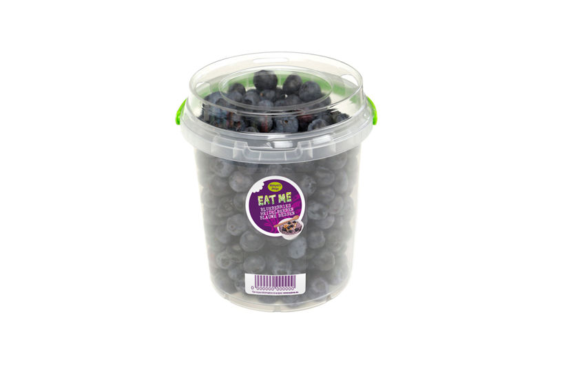 Blueberries - Bucket packaging