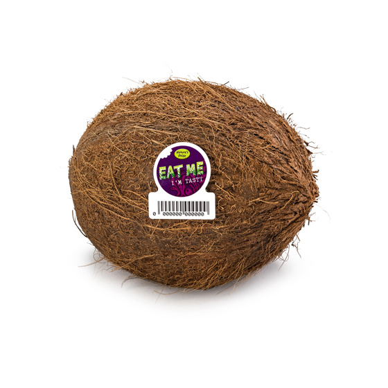 Kokosnoot - Productfoto