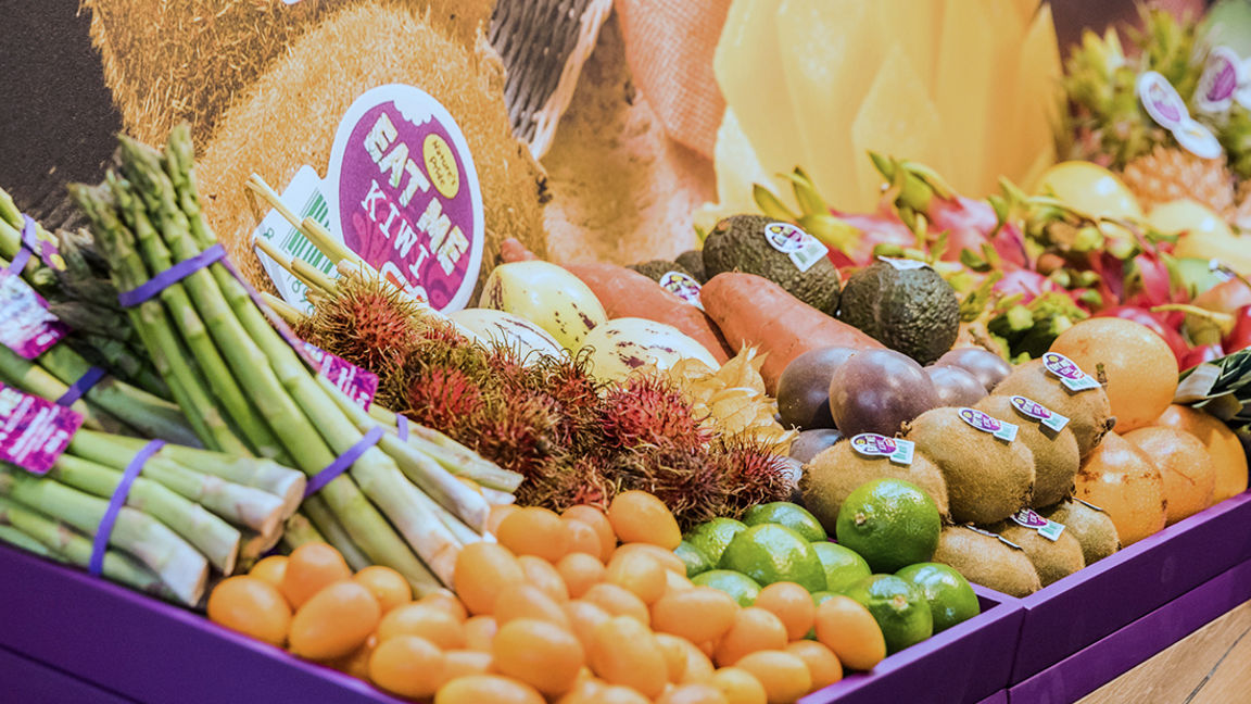 overzicht fruitschap