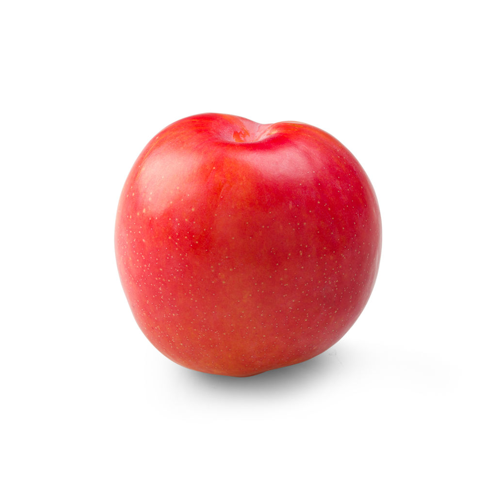 Plums Ruby Sun variety