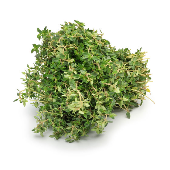 Thyme - Product photo