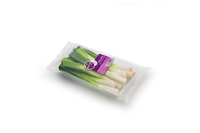 Mini Lauch Verpackung vorne