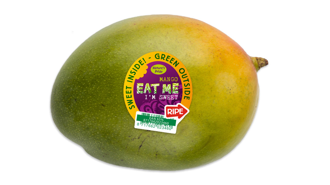Israeli Mango Season Promising - News - Nature's Pride