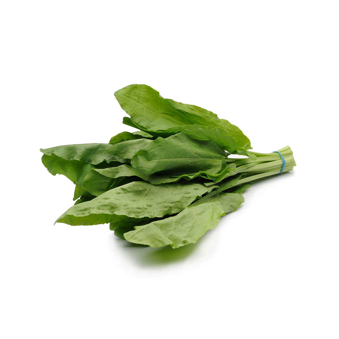 Zuring, misschien wel het meest veelzijdige kruid - Nature's Pride